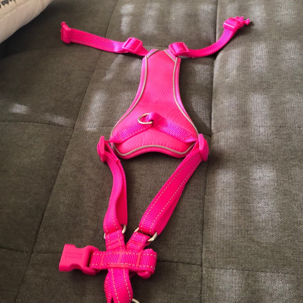 Dog harness.